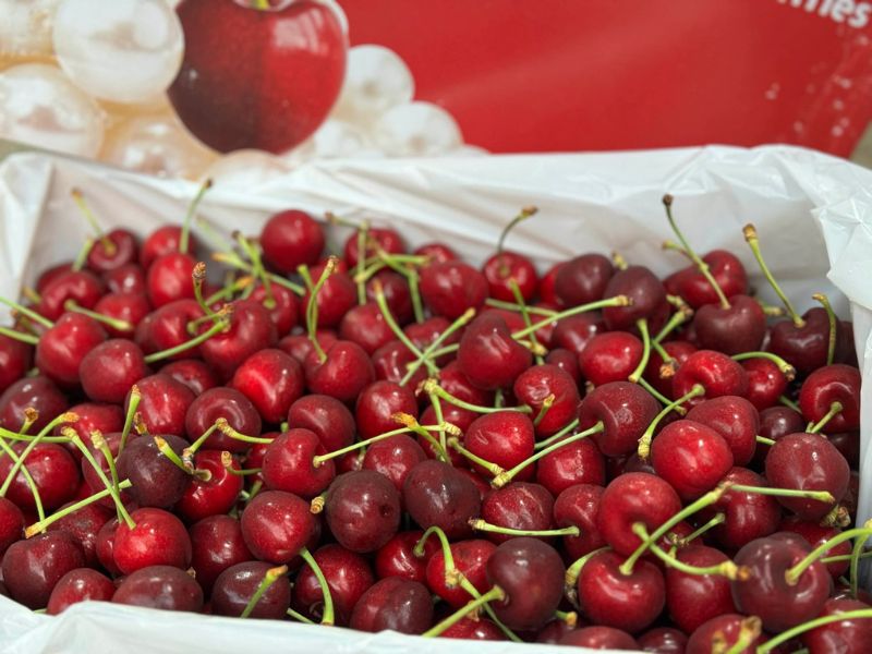 goc-bi-mat-mua-cherry-vao-thang-may