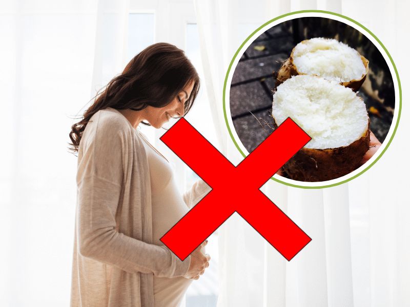 goc-giai-dap-khoai-tu-ky-voi-gi