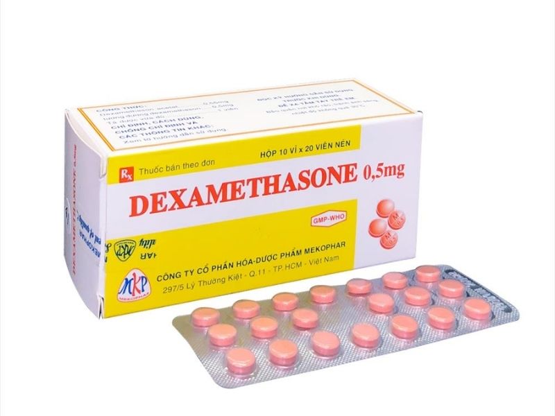 goc-giai-dap-qua-oc-cho-ky-voi-gi