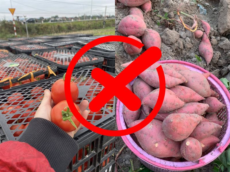 goc-thac-mac-ca-chua-ky-gi