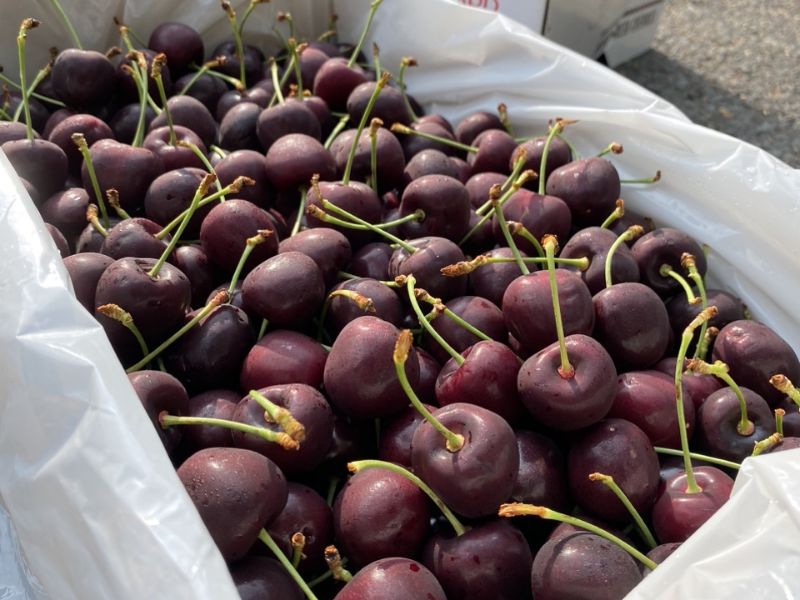 goc-thac-mac-mua-cherry-vao-thang-may