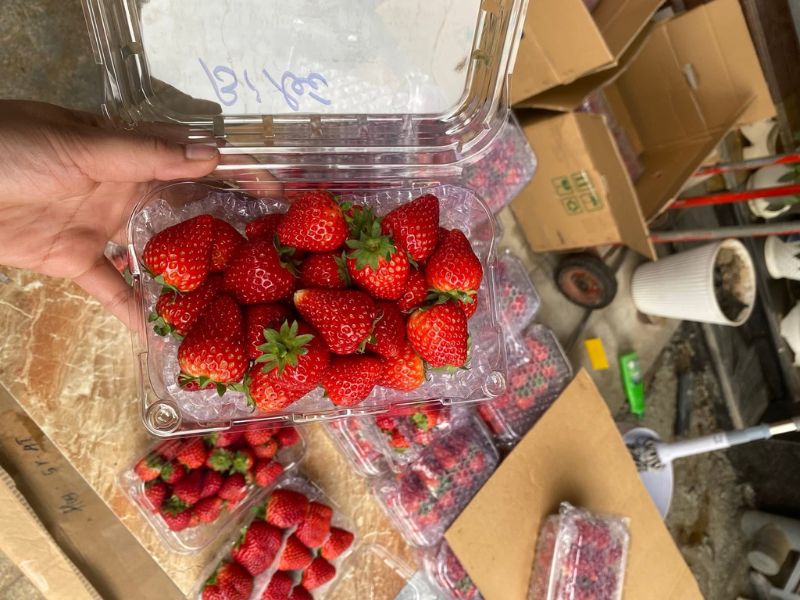 goc-thac-mac-mua-dau-tay-la-thang-may