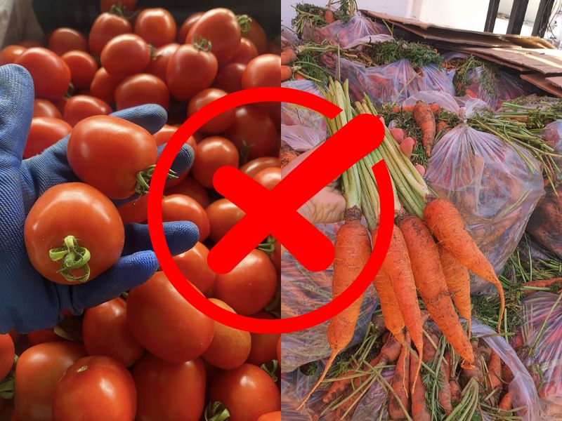 goc-tim-hieu-ca-chua-ky-gi