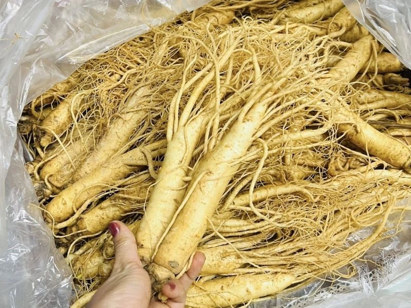 goc-tim-hieu-cu-cai-trang-ky-gi