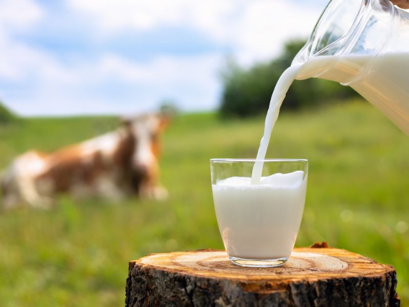 goc-tim-hieu-hai-san-ky-gi