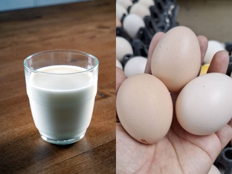 goc-tim-hieu-khoai-tu-ky-voi-gi