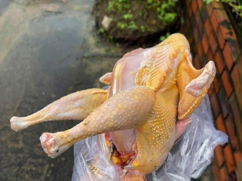 goc-tim-hieu-qua-oc-cho-ky-voi-gi