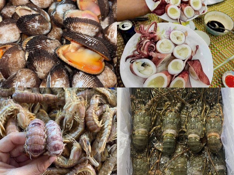 goc-tim-hieu-rau-cai-ngot-ky-voi-gi