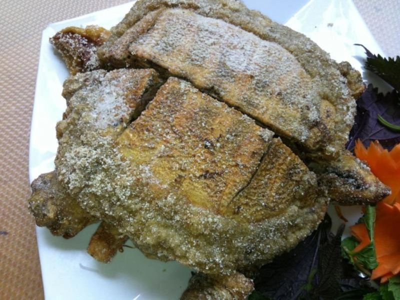 goc-tim-hieu-thit-vit-ky-gi