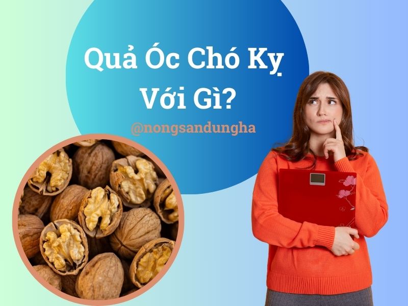 qua-oc-cho-ky-voi-gi