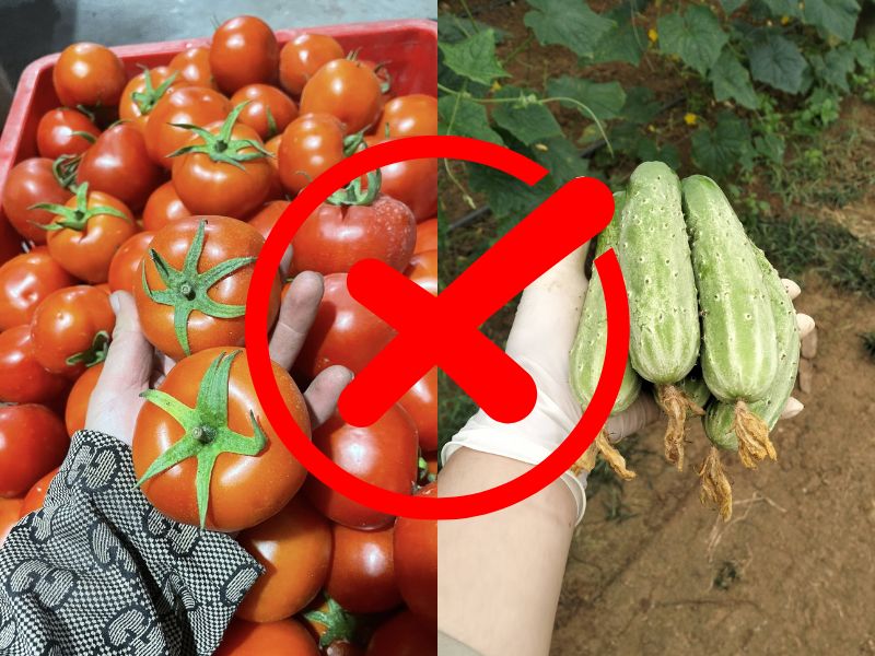 thac-mac-ca-chua-ky-gi