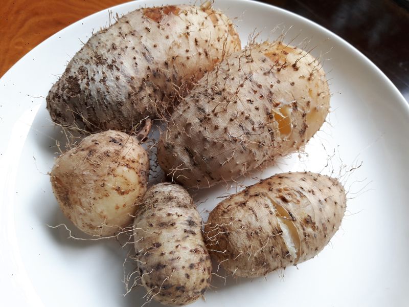 thac-mac-cu-tu-bao-nhieu-calo