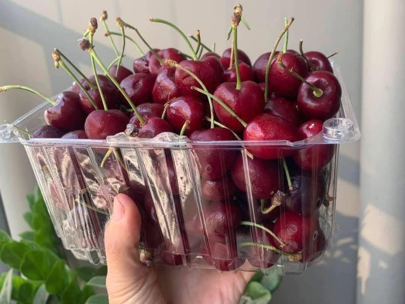 thac-mac-mua-cherry-vao-thang-may