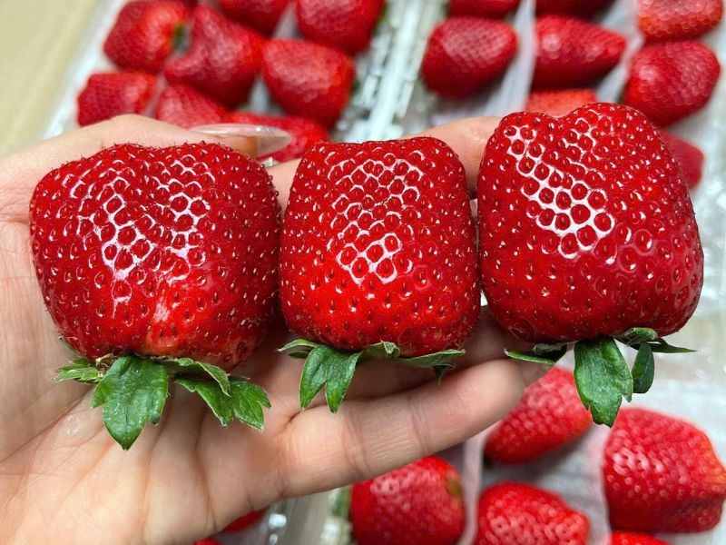 thac-mac-mua-dau-tay-la-thang-may