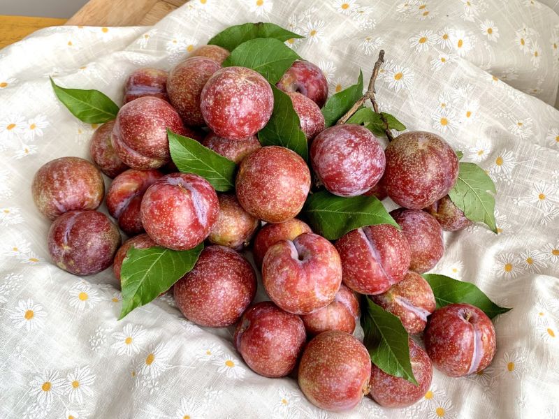 thac-mac-mua-man-bac-vao-thang-may