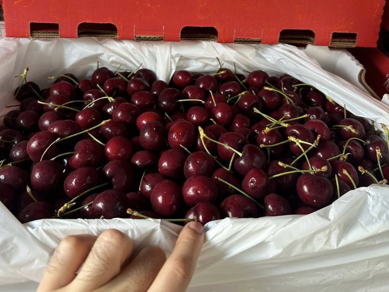 tim-hieu-mua-cherry-vao-thang-may