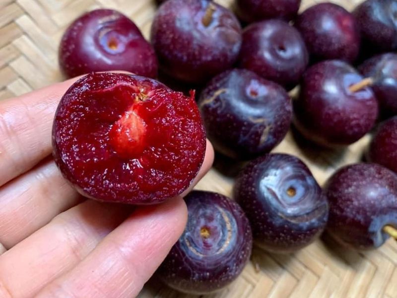 tim-hieu-mua-man-bac-vao-thang-may