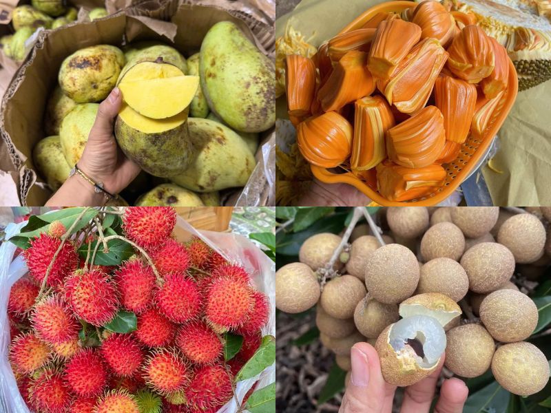 tim-hieu-thit-vit-ky-gi