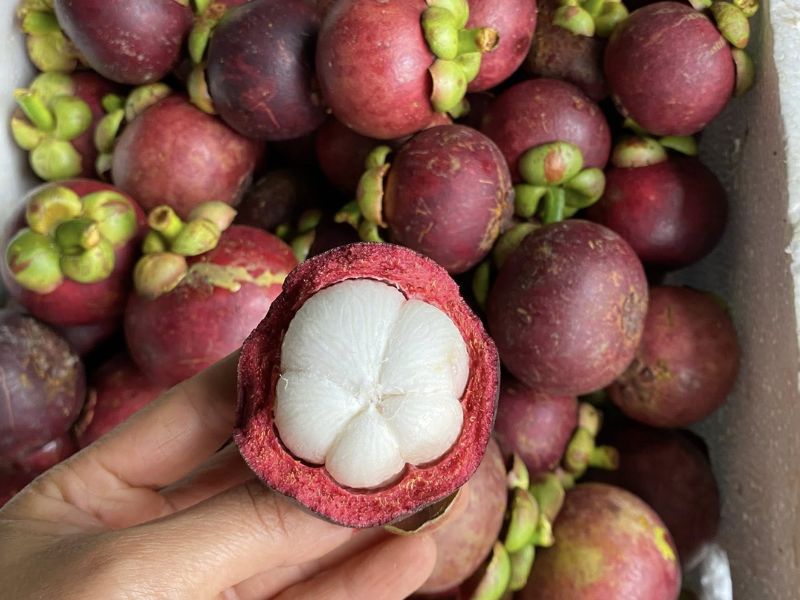 ban-khoan-mua-mang-cut-vao-thang-may