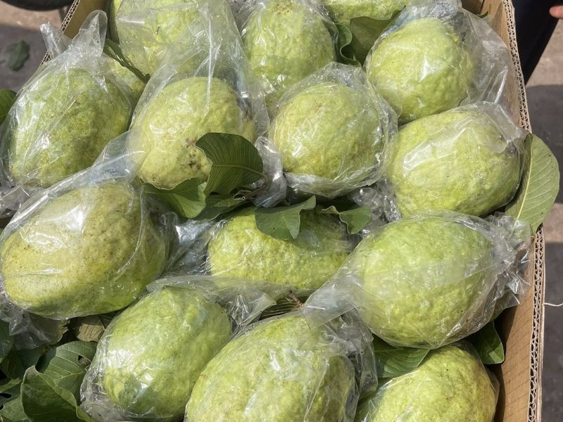 bat-mi-mua-oi-thang-may