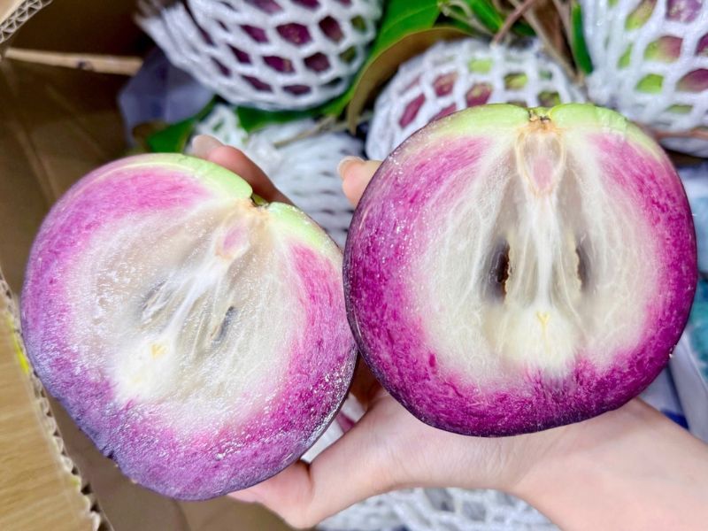 cac-loai-vu-sua-ngon-nha-hien-nay