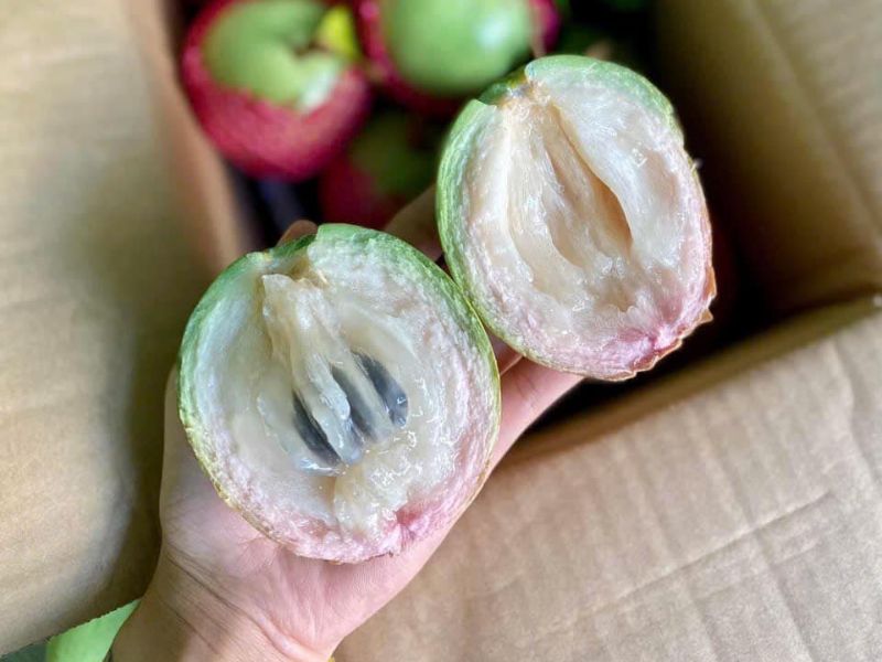 cac-loai-vu-sua-ngon-nhat