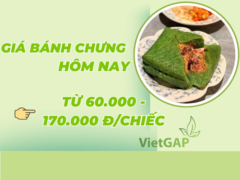 gia-banh-chung-hom-nay