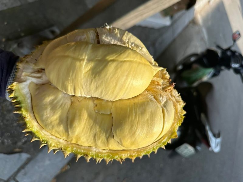 gia-sau-rieng-ri6-theo-vung-mien