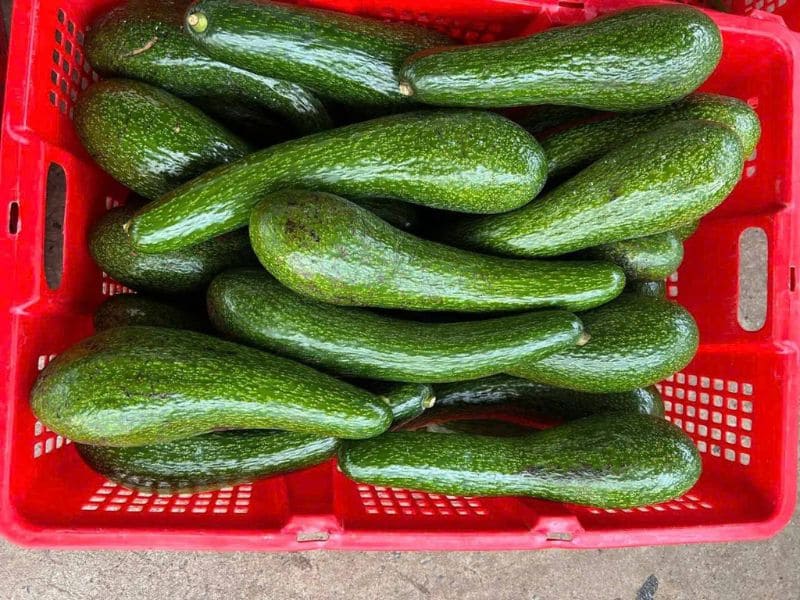 goc-thac-mac-mua-bo-vao-thang-may