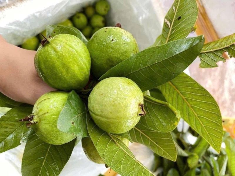 goc-thac-mac-mua-oi-thang-may