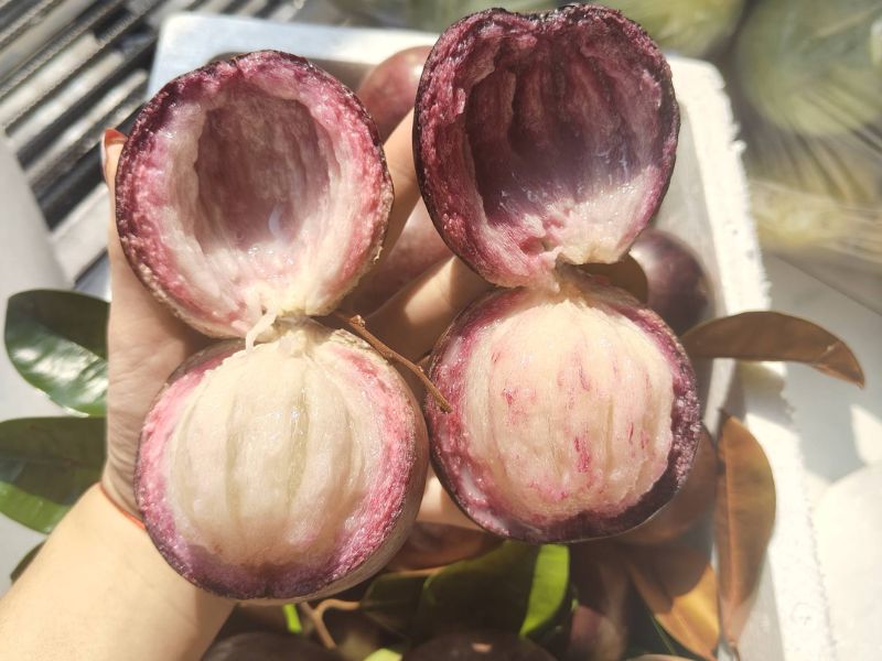 goc-thac-mac-mua-vu-sua-vao-thang-may-ngon-nhat