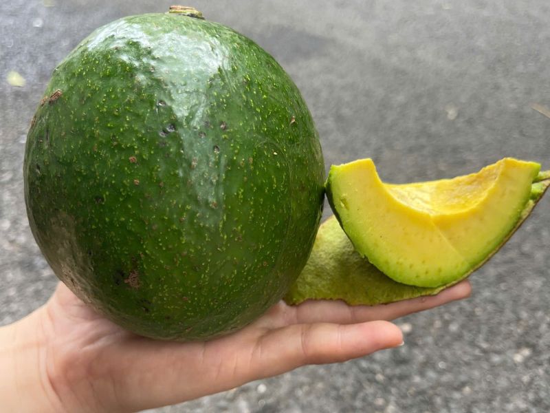 goc-tim-hieu-mua-bo-vao-thang-may