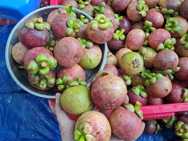 goc-tim-hieu-mua-mang-cut-vao-thang-may