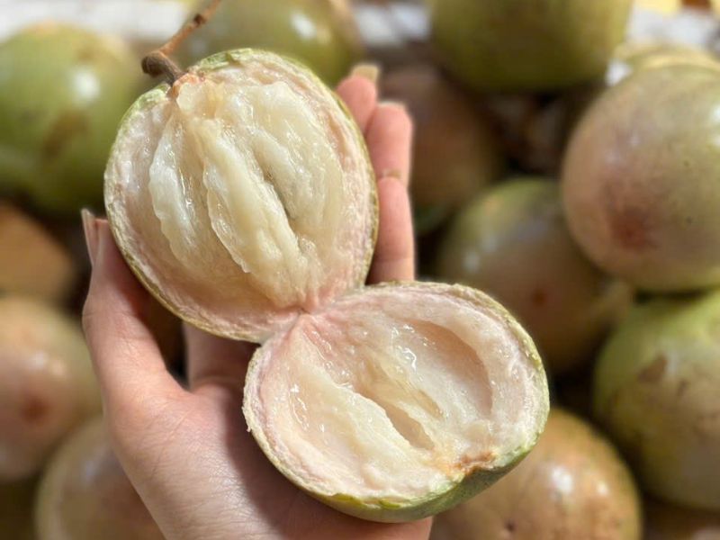 mua-vu-sua-vao-thang-may-ngon-nhat