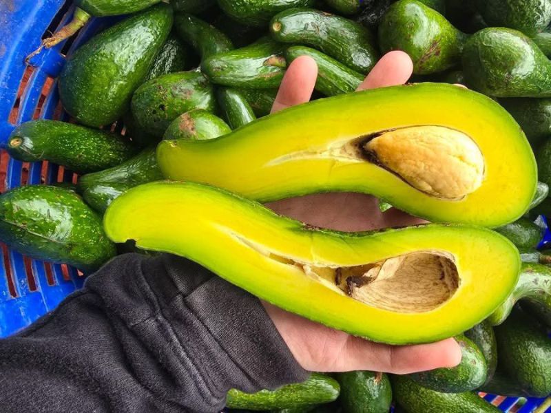 thac-mac-mua-bo-vao-thang-may