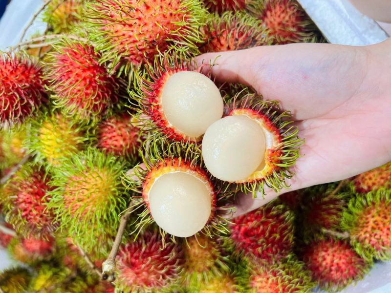 thac-mac-mua-chom-chom-thang-may