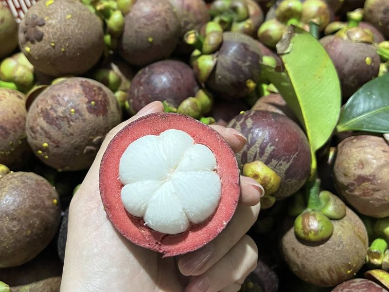 thac-mac-mua-mang-cut-vao-thang-may