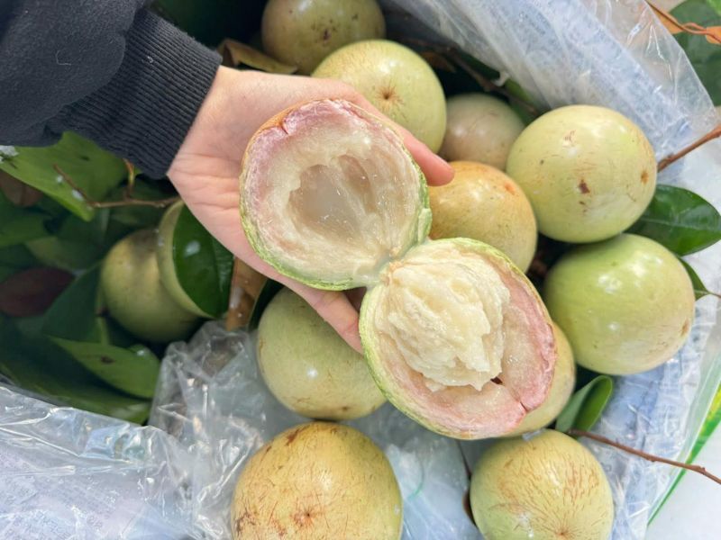 thac-mac-mua-vu-sua-vao-thang-may-ngon-nhat