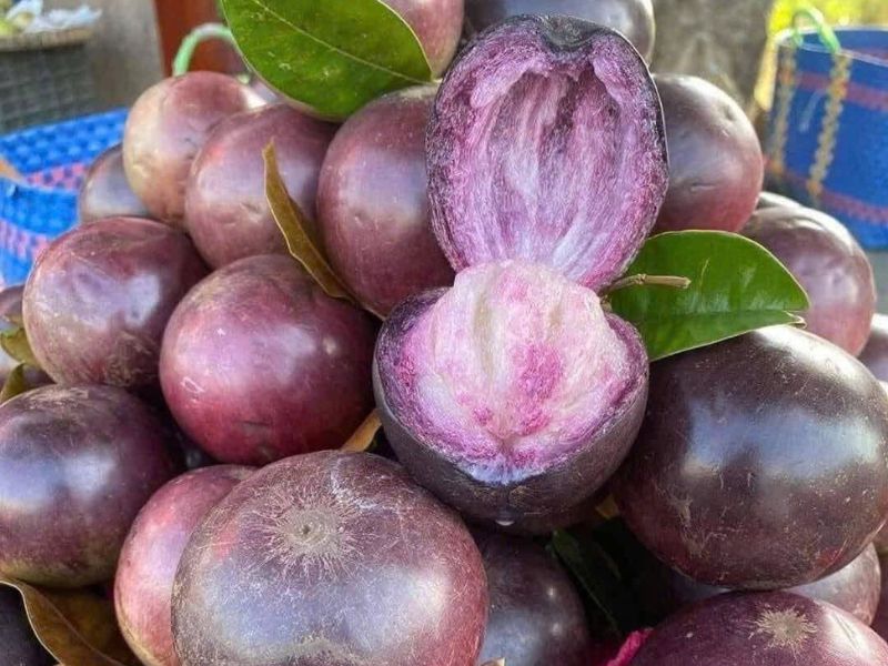 tim-hieu-cac-loai-vu-sua-ngon-nhat-hien-nay