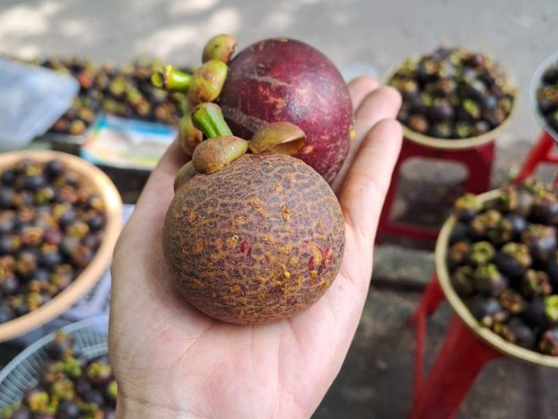 tim-hieu-mua-mang-cut-vao-thang-may