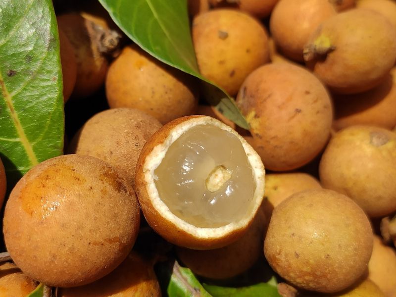 tim-hieu-mua-nhan-thang-may