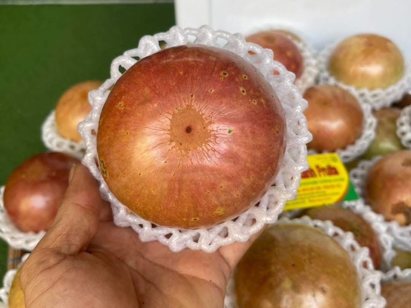 tim-hieu-mua-vu-sua-vao-thang-may