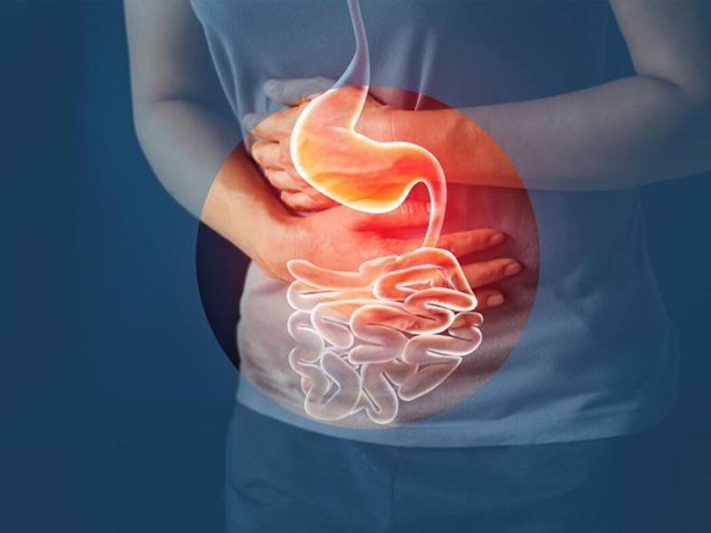 bat-mi-cu-su-hao-ky-voi-gi