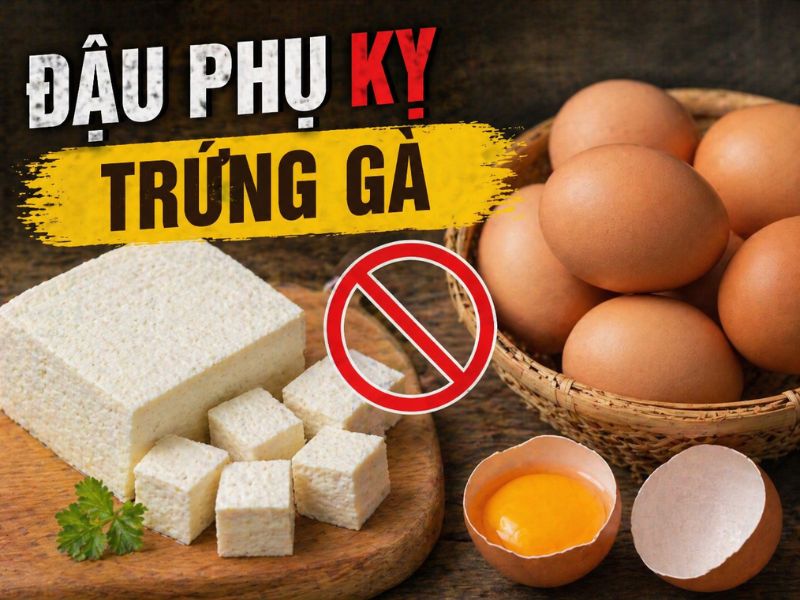 bi-mat-dau-phu-ky-gi