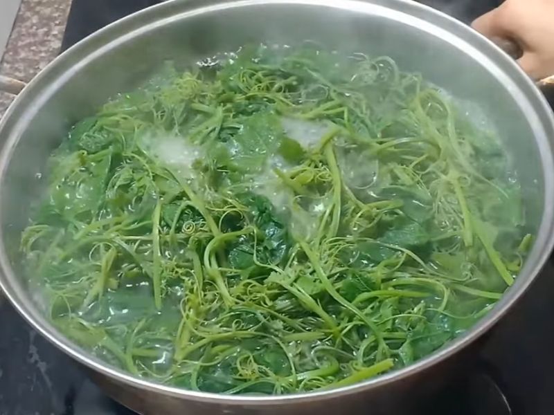 giai-dap-ngon-muop-co-an-duoc-khong