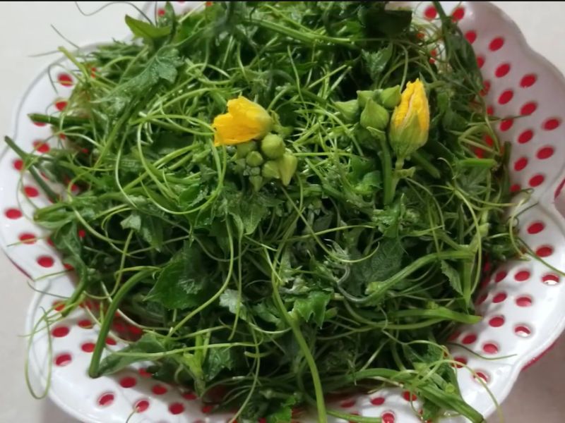 goc-giai-dap-ngon-muop-co-an-duoc-khong