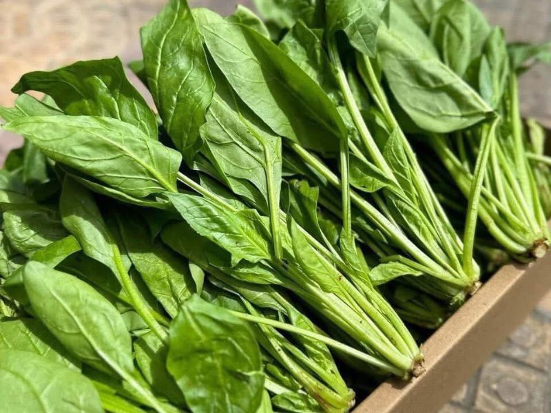 goc-thac-mac-muop-huong-ky-voi-gi