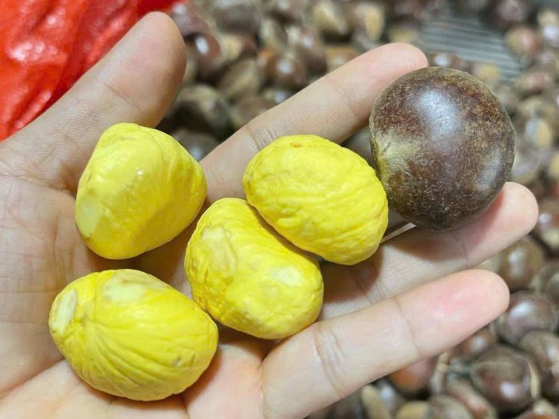 ban-khoan-hat-de-ky-gi