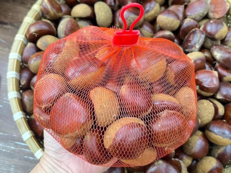 ban-khoan-hat-de-moc-mam-co-an-duoc-khong