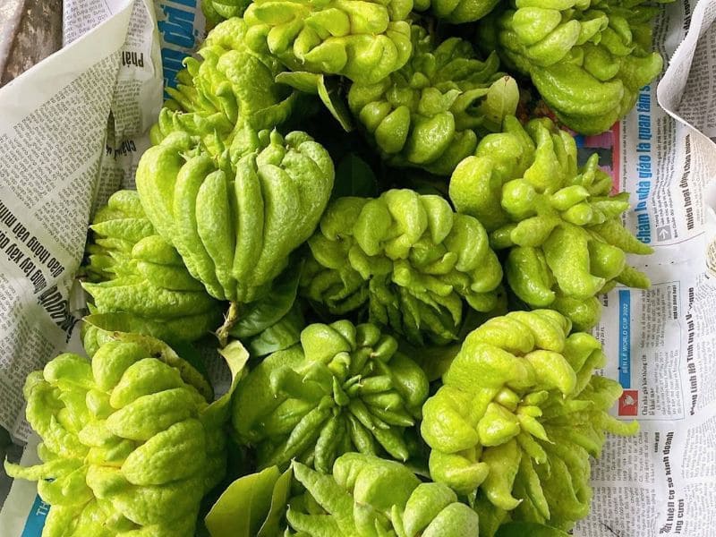 bat-mi-qua-phat-thu-la-gi